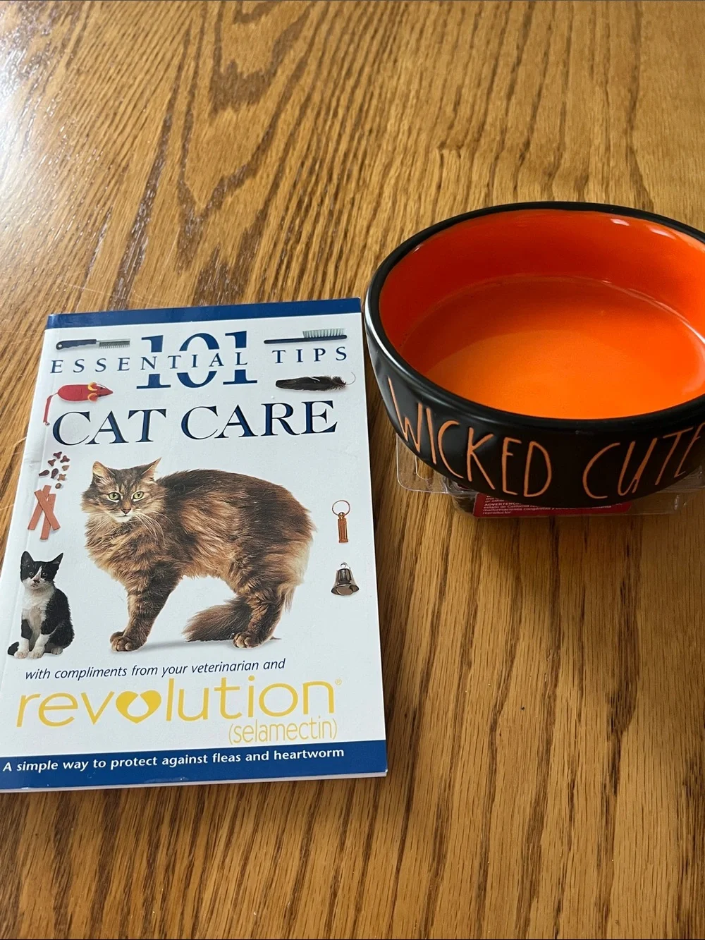 Wicked Cute Orange Ceramic Cat Bowl - plus cat care booklet